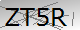 Alternate Text